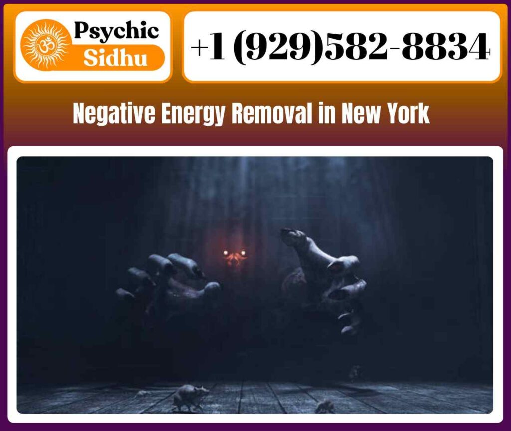 Certified Negative Energy Removal in New York - Astrologer Sidhu