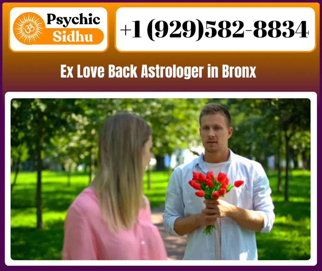 Get Proper Solution From Ex Love Back Astrologer in Bronx - Astrologer Shankar